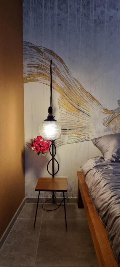 Logies La Chevre Folle - & Cooking In Style With Shared Kitchen Bed & Breakfast Ostend